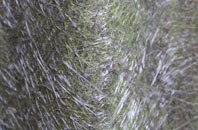 Grosmont fibreglass roof work